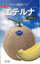 エテルナ(早春晩秋系) 100粒 めろん メロン 舐瓜