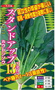 スタンドアップ13 PRL2.5万粒 ほうれん草 法蓮草 ホウレンソウ ほうれんそう◎