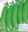 金賞 万竜 1L詰 さやえんどう サヤエンドウ 莢豌豆