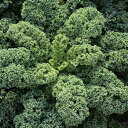 ワイルドキッチン(f1) コート1800粒 ケール けーる