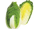 冴黄90 20ml 白菜 ハクサイ はくさい