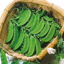 ひのくに絹莢 1l さやえんどう サヤエンドウ 莢豌豆 中原採種場