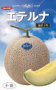 エテルナ(夏系1号) 100粒 めろん メロン 舐瓜