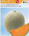 グルーヴ(赤肉) 100粒 めろん メロン 舐瓜