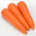 アメリ ペレット 1万粒 ニンジン にんじん 人参