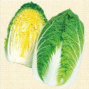 黄ごころ90白菜 タキイ交配 20ml 白菜 ハクサイ はくさい
