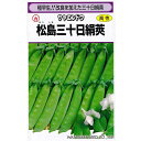 松島三十日 1L さやえんどう サヤエンドウ 莢豌豆