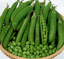 金賞 タイニーピース 1L詰 さやえんどう サヤエンドウ 莢豌豆