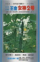 王金女神2号 20ml 胡瓜 キュウリ