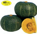うねび 1dl 南瓜 カボチャ かぼちゃ