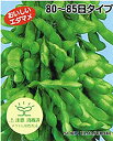 ノウリン 玉すだれ キダネFC 1L 枝豆 えだまめ エダマメ
