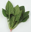 PRIMAX ゴードン 法蓮草 M3万粒 ほうれん草 法蓮草 ホウレンソウ ほうれんそう