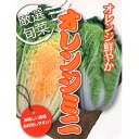 オレンジミニ 20ml 白菜 ハクサイ はくさい