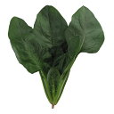 バッハ M3万粒 ほうれん草 法蓮草 ホウレンソウ ノウリン交配