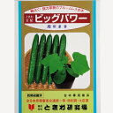 ビッグパワー 350粒 台木 ダイギ だいぎ ときわ交配