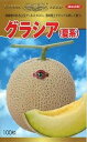 クラシア(夏系) 100粒 めろん メロン 舐瓜