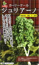 ジュリアーノ 2000粒 ケール けーる