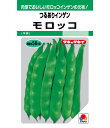 モロッコ菜豆(つるあり) 1L さやえんどう サヤエンドウ 莢豌豆