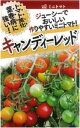 キャンディーレッド 100粒 トマト とまと 蕃茄