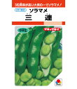 三連蚕豆 タキイ育成 1L 枝豆 えだまめ エダマメ