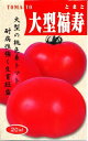 大型福寿 20ml トマト とまと 蕃茄