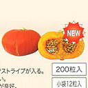べにくり南瓜 PVP 200粒 南瓜 カボチャ かぼちゃ
