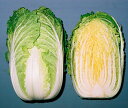CRRエンペラー 20ml 白菜 ハクサイ はくさい