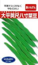 沖縄 島インゲン 1l 豆 マメ まめ 鞘隠元 サヤインゲン さやいんげん