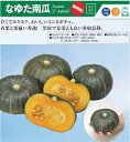 なゆた南瓜(ミニかぼちゃ) 100粒 南瓜 カボチャ かぼちゃ