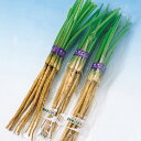 新ごぼう 1l 牛蒡 ゴボウ ごぼう 中原採種場