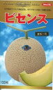 ビセンス(春秋系) 100粒 めろん メロン 舐瓜