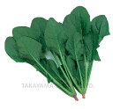 アルフォード 1L ほうれん草 法蓮草 ホウレンソウ ほうれんそう