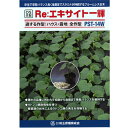Re:エキサイト一輝 350粒 台木