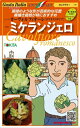 ロマネスコ ミケランジェロ 1000粒(Lコート) グストイタリア ダイヤ交配