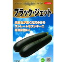 ブラック・ジェット 100粒 ズッキーニ