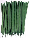 いちず 2000粒 鞘隠元 サヤインゲン さやいんげん
