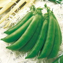 スナップ豌豆 グルメ タキイ育成 1L さやえんどう サヤエンドウ 莢豌豆