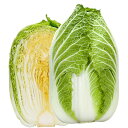おもむき 20ml 白菜 ハクサイ はくさい