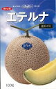 エテルナ(夏系2号) 100粒 めろん メロン 舐瓜