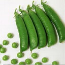 スーパーグリーンC 1L 袋 さやえんどう サヤエンドウ 莢豌豆