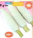 白いおおもの 2000粒 とうもろこし トウモロコシ 玉蜀黍