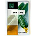 あそみどり5号 350粒 胡瓜 キュウリ きゅうり