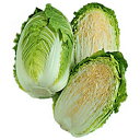 冬到来75(全日本そ菜原種審査会 1等特別賞受賞) コート5000粒 白菜 ハクサイ はくさい 渡辺交配