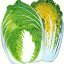 勝黄 ペレット5000粒 白菜 ハクサイ はくさい