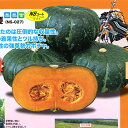 栗ざんまい 500粒 南瓜 カボチャ かぼちゃ