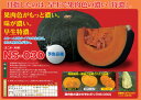 ハニーブラウン NS-030 500粒 南瓜 カボチャ かぼちゃ