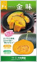 金味 500粒 南瓜 カボチャ かぼちゃ