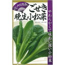江戸川育成 ごせき晩生小松菜 キダネ 1l 小松菜 コマツナ こまつな
