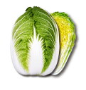 すて黄90 20ml 白菜 ハクサイ はくさい 宇治交配