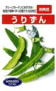 四角豆 うりずん 1l 豆 マメ まめ 豆 マメ まめ